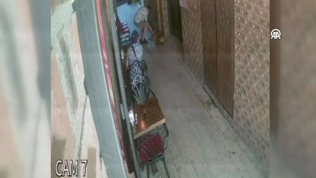 Pamukkale Kafeler Sokağı'nda sevmek istediği sokak köpeği ısırdı - Resim: 8